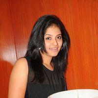 Anjali at Journey Audio Launch Pictures | Picture 127218
